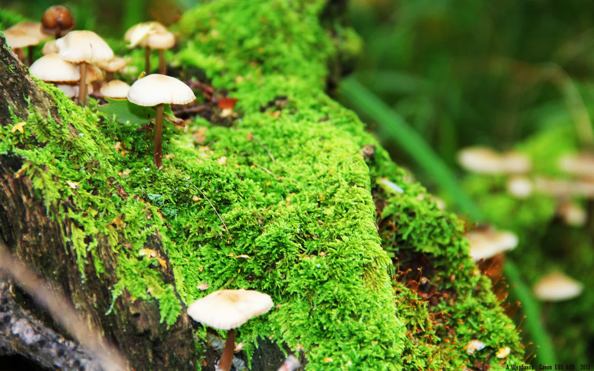 世界杯南美区：阿根廷足协确认梅西将参加下周在迈阿密举行的慈善赛。